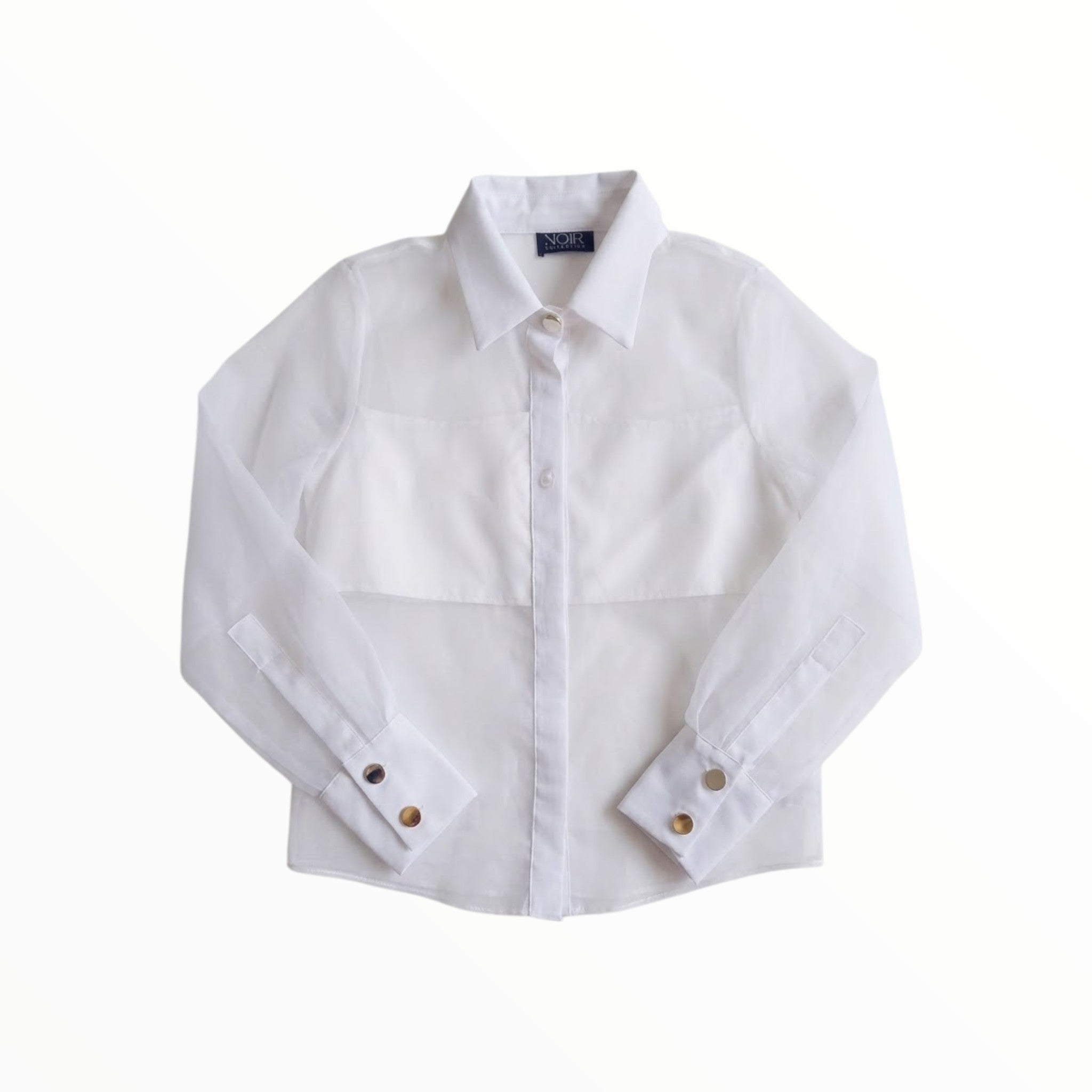 Blusa de Transparencias